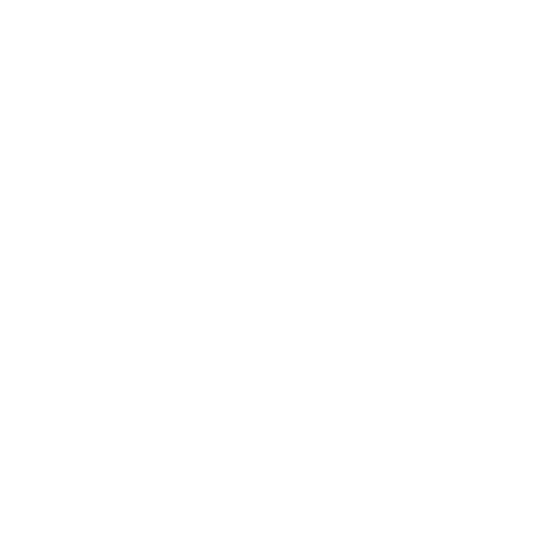 coche